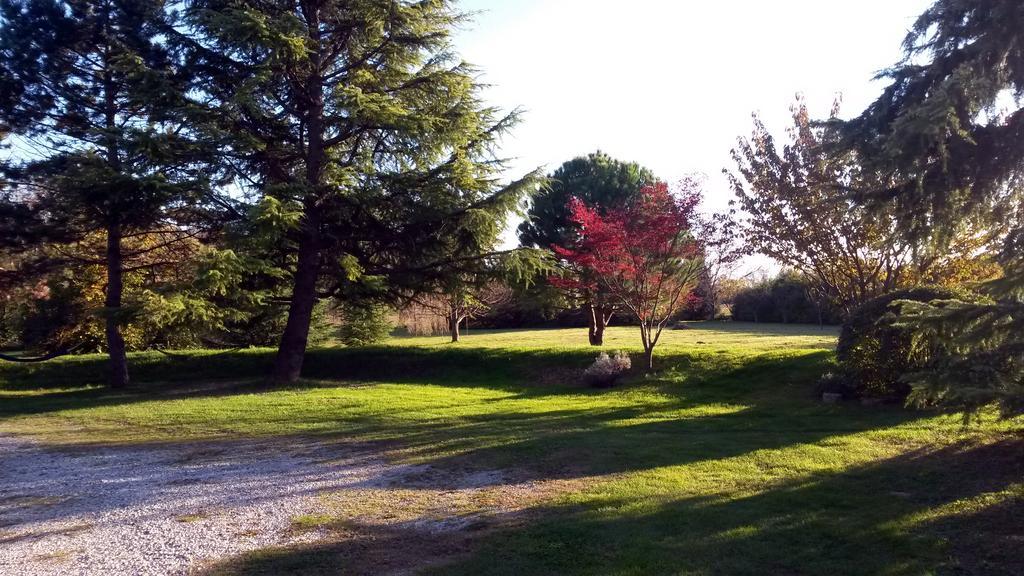 Al Campo Di Sotto Bed & Breakfast Buia Εξωτερικό φωτογραφία